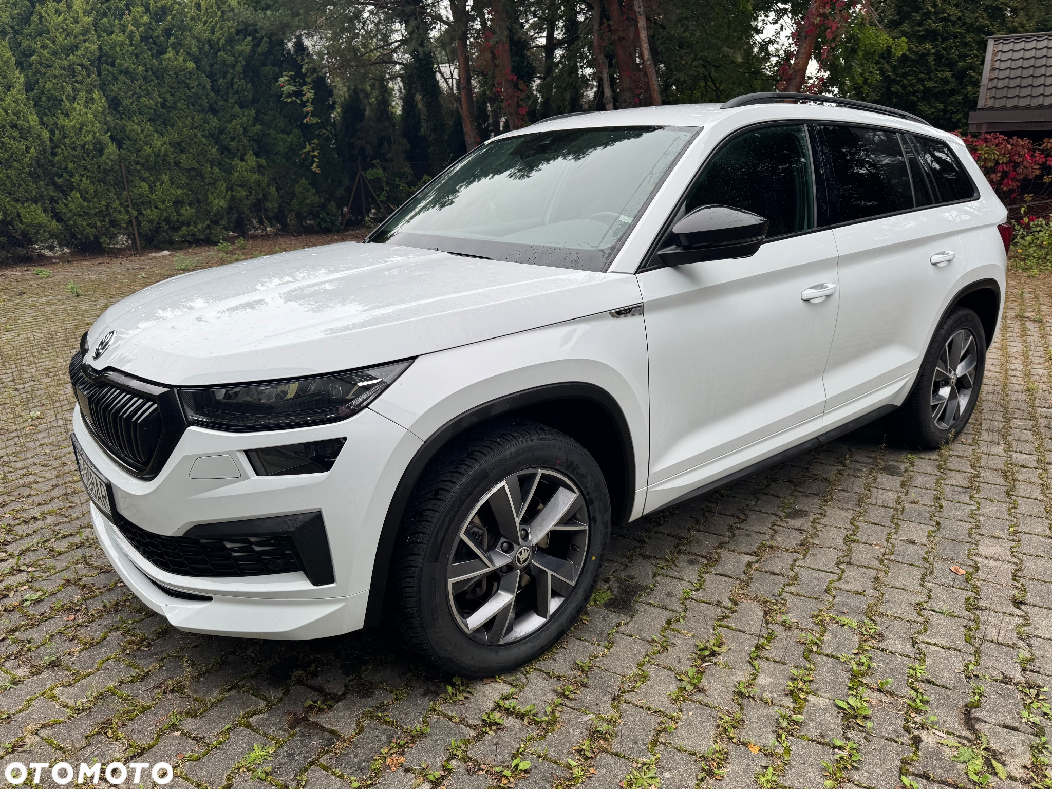 Skoda Kodiaq 2.0 TDI 4x4 Sportline DSG - 8