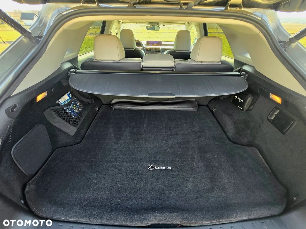 Lexus RX - 19
