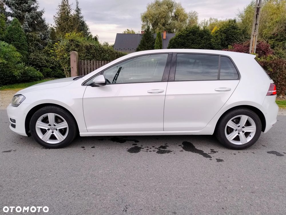 Volkswagen Golf - 33