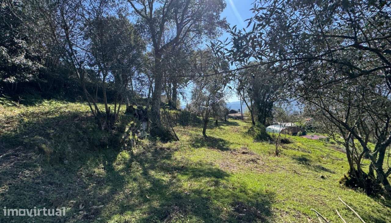 Venda Moradia para reconstruir, Sta. Cruz do Douro, Baião - Grande imagem: 4/30