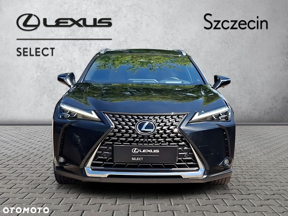 Lexus UX - 8