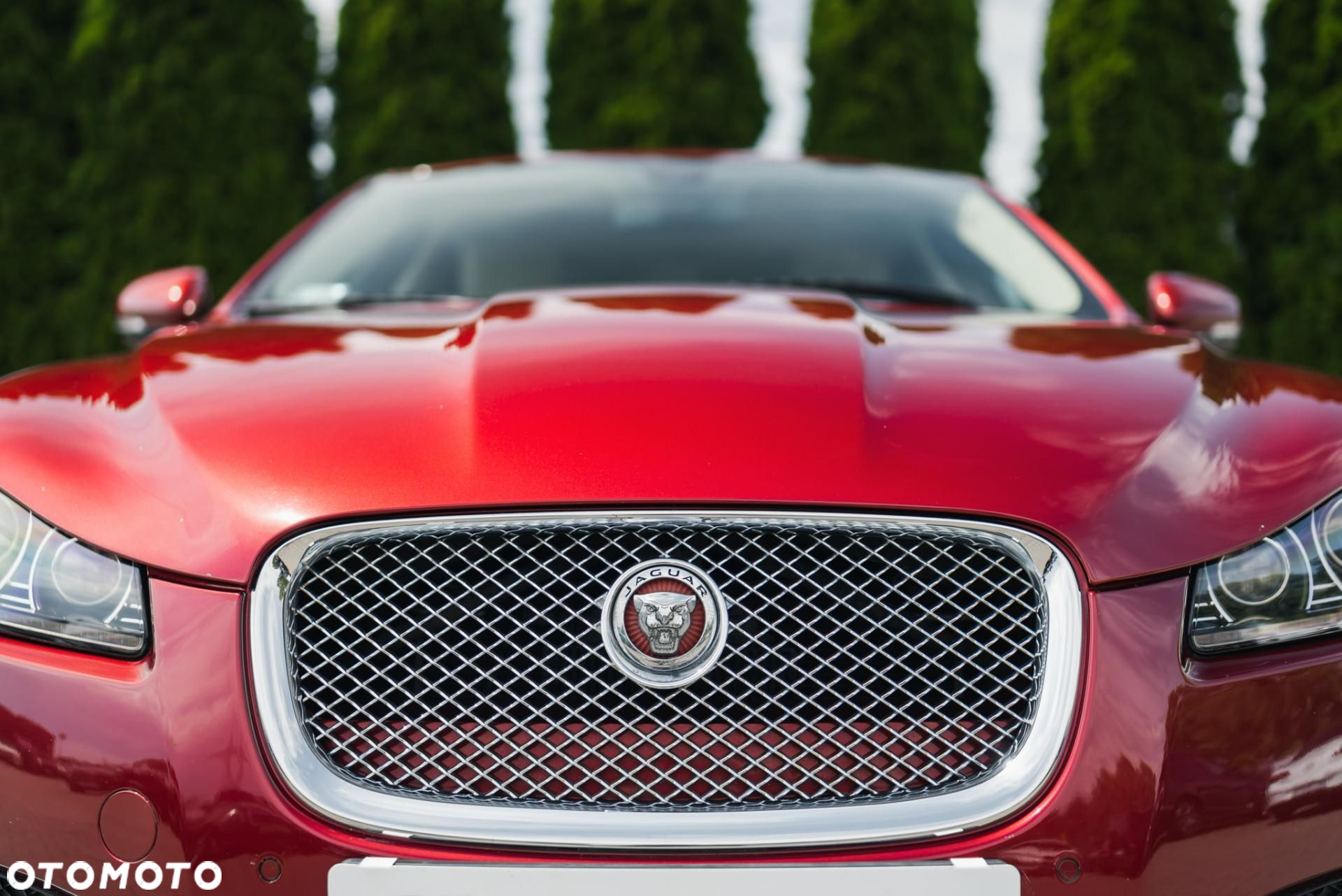 Jaguar XF - 36