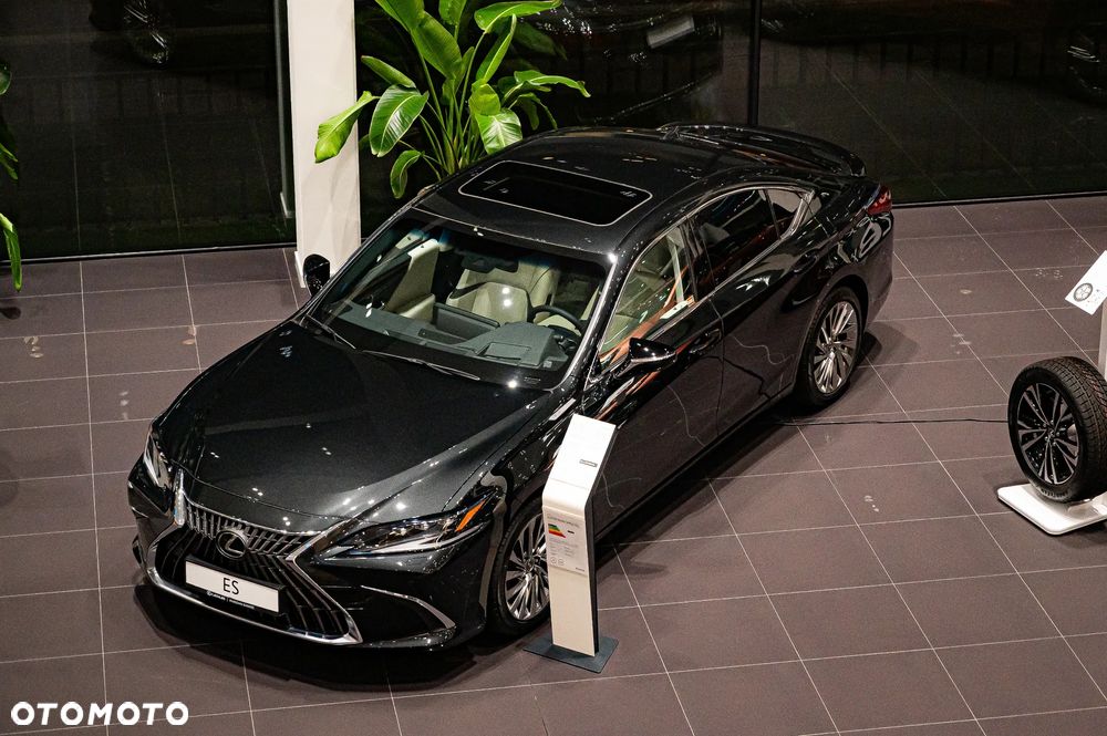 Lexus ES 300h Omotenashi - 25