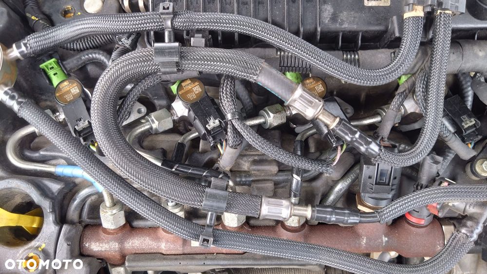 Ford Focus 2.0 EcoBlue ST-2 - 31