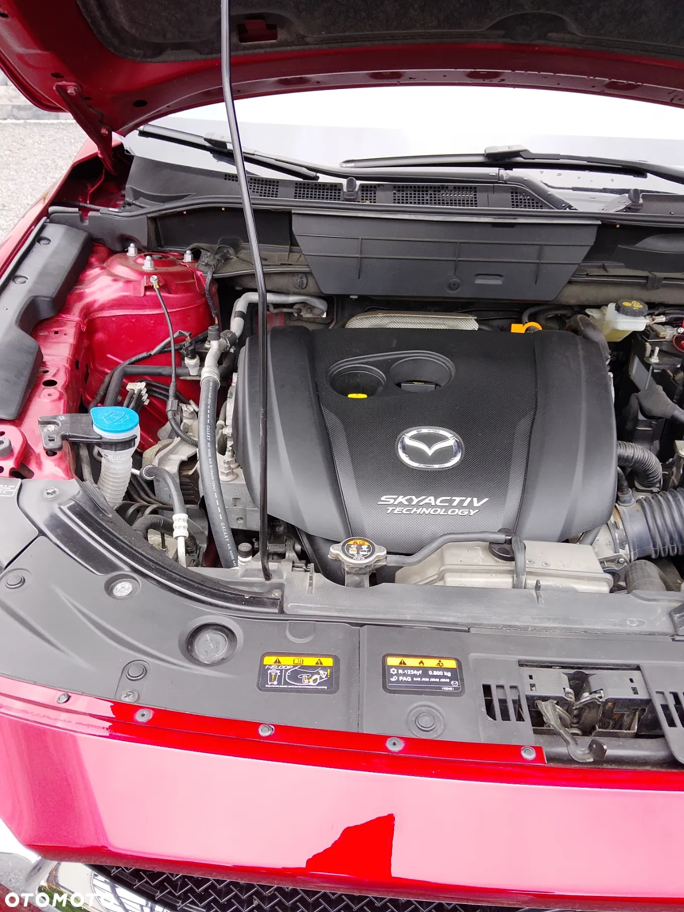Mazda CX-5 2.5 Skypassion AWD - 24