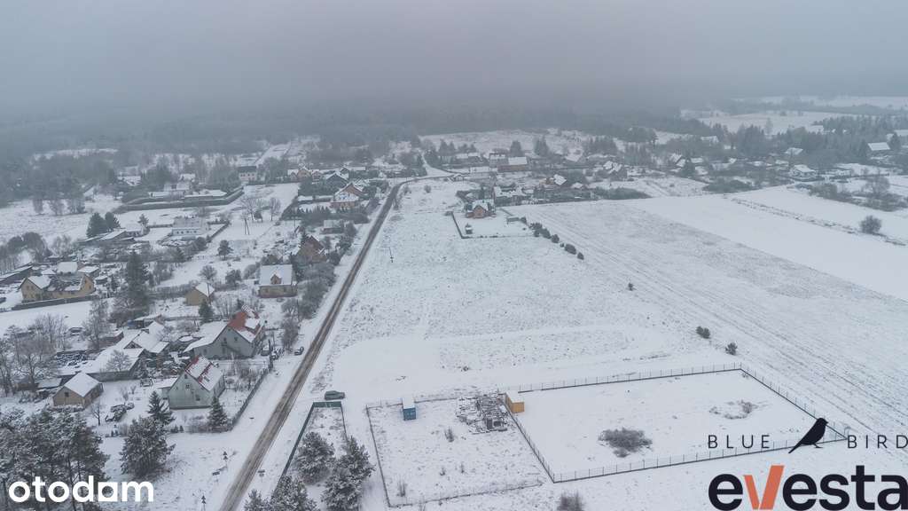 DZIAŁKA 132/12 | MIŁOGOSTOWICE |  2390m2 - Pełny obrazek: 4/7