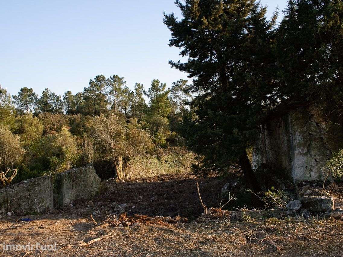 Quinta com 14.754 m2 para Reconstruir - Grande imagem: 5/19