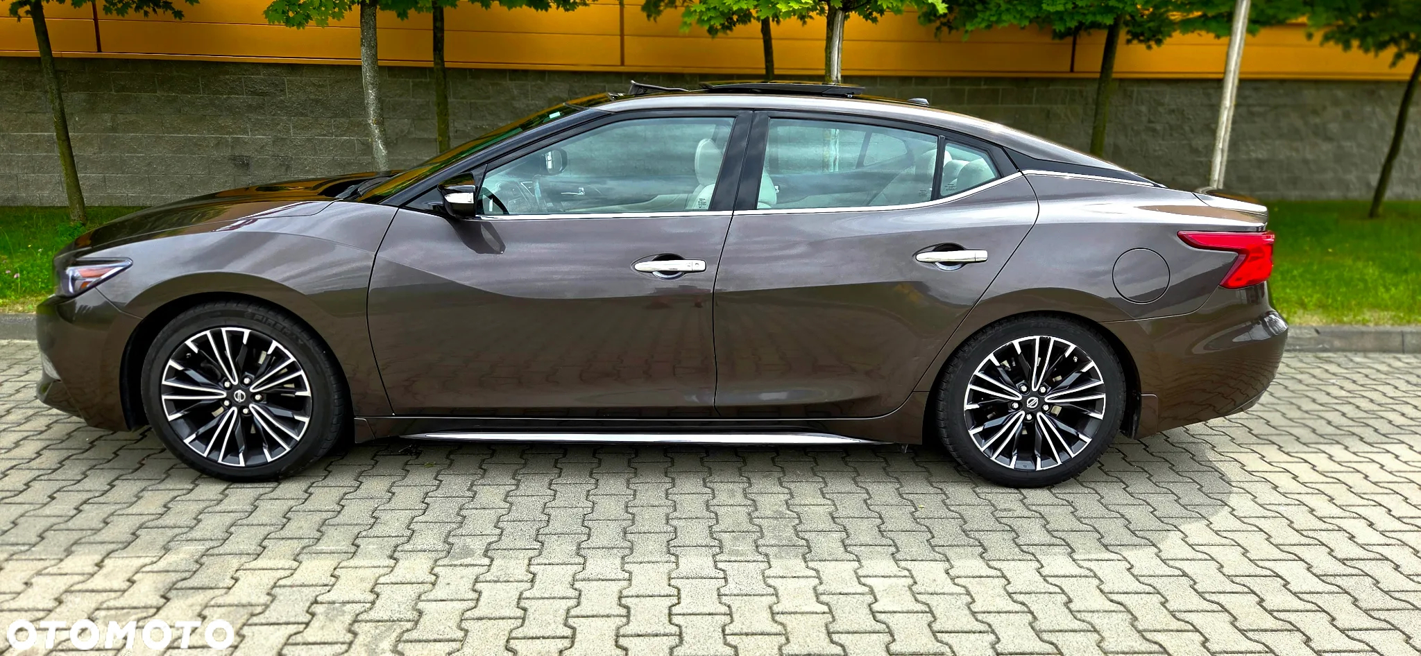 Nissan Maxima - 13