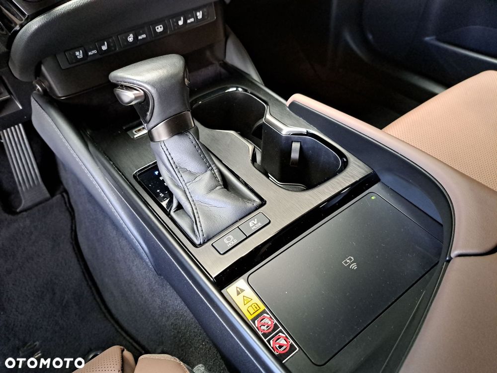 Lexus ES 300h Omotenashi - 28