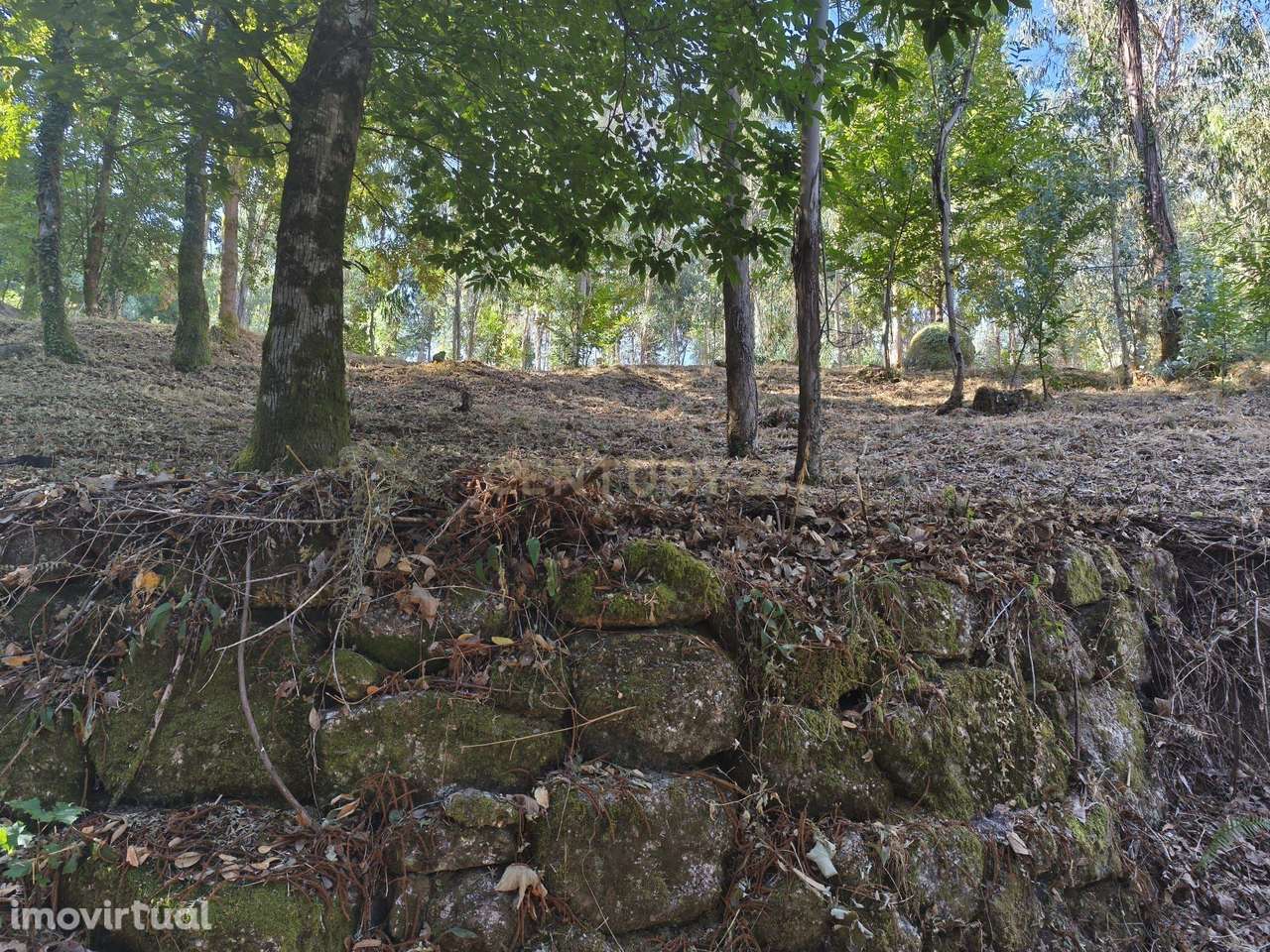 Terreno Rústico com 5.720m² no Gerês, Excelente Acesso e Proximidade a - Grande imagem: 4/12