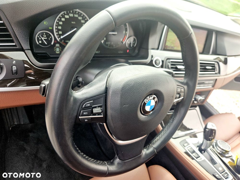 BMW Seria 5 520d Efficient Dynamics Edition Luxury Line - 21