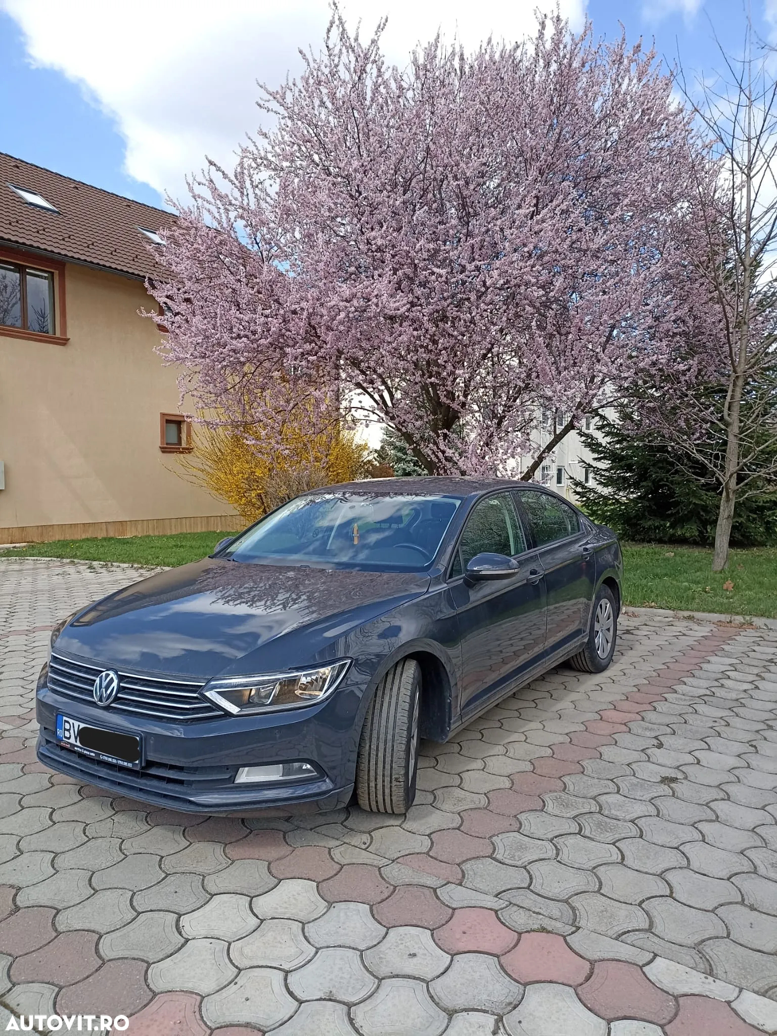 Volkswagen Passat - 2