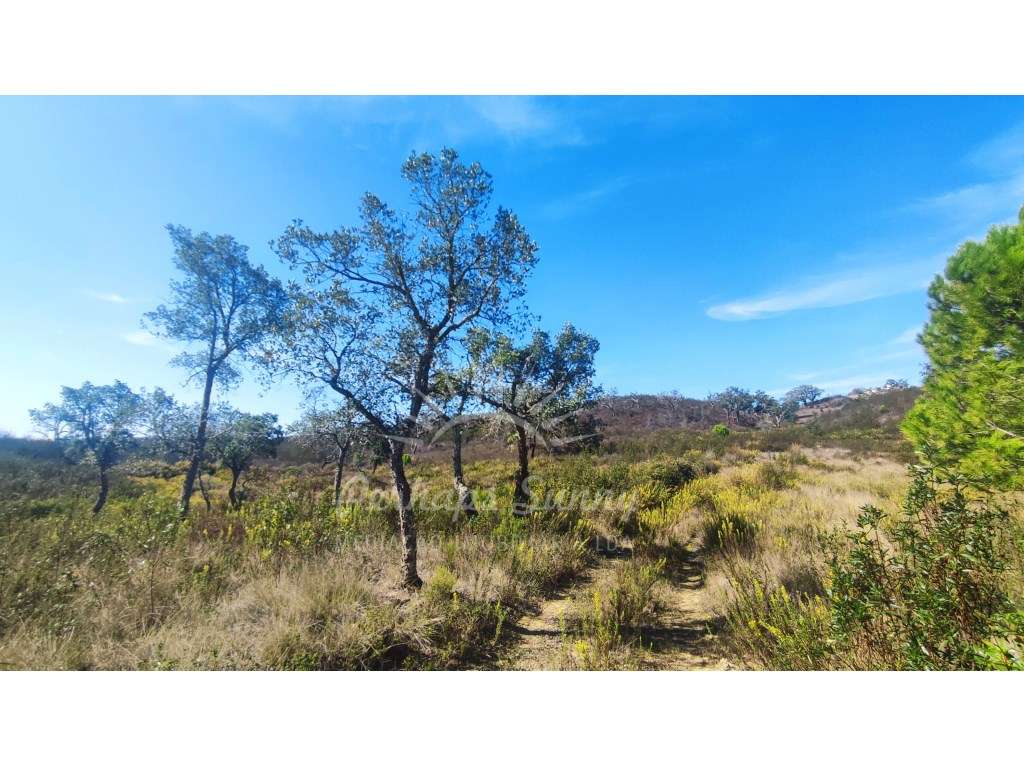 Terreno Rústico - Grande imagem: 2/26