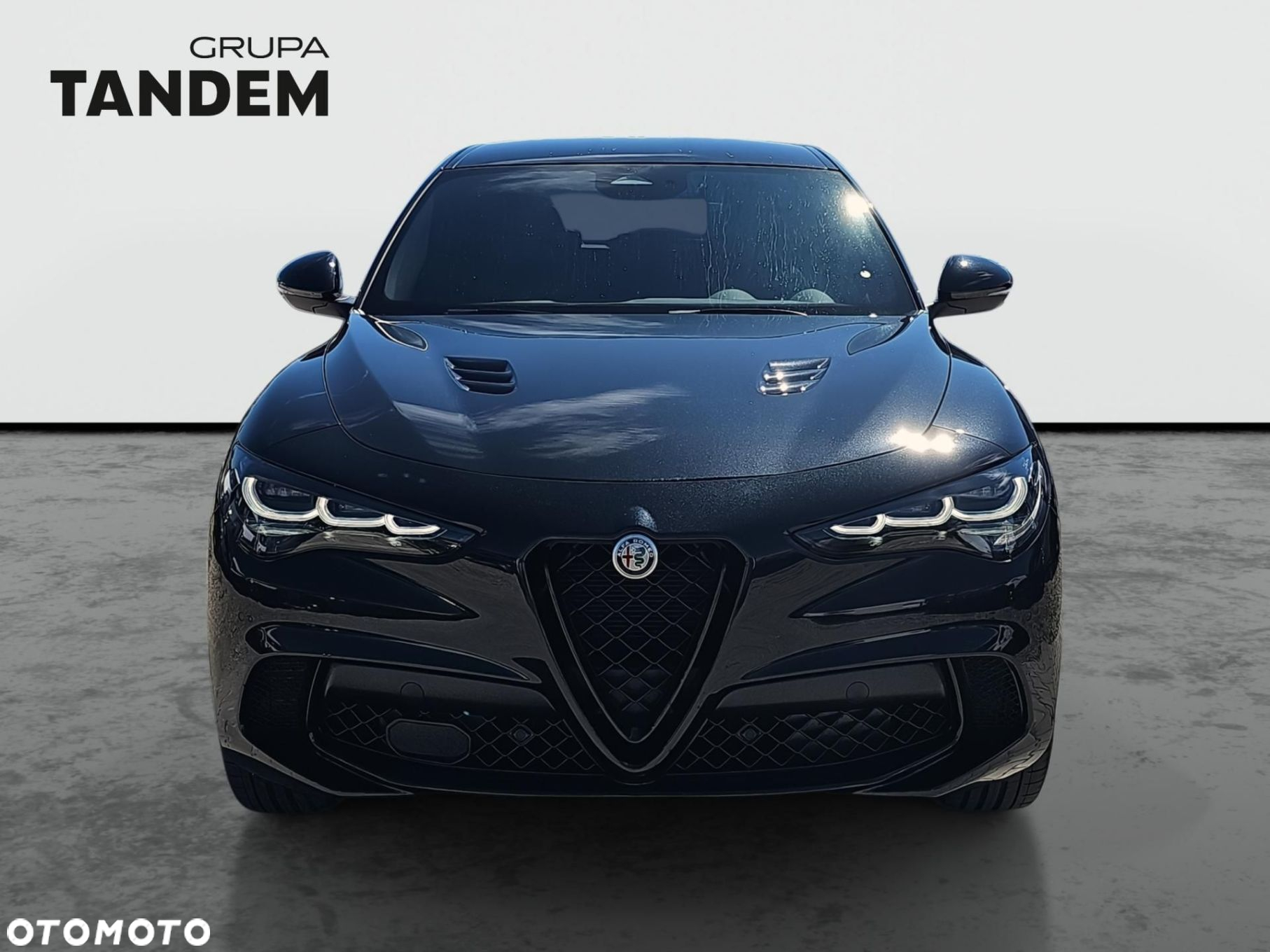 Alfa Romeo Stelvio 2.9 Bi Turbo V6 Quadrifoglio Q4 - 2