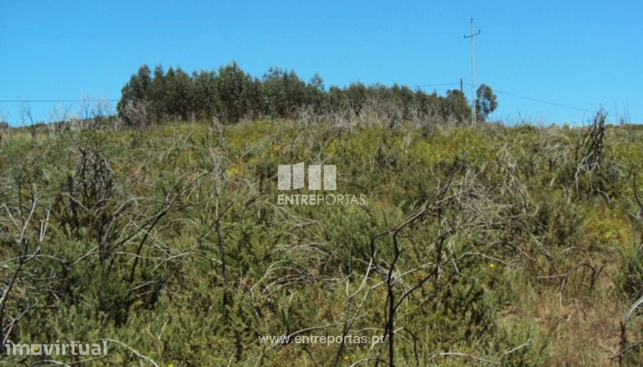 Venda Terreno, Lustosa, Lousada - Grande imagem: 5/14