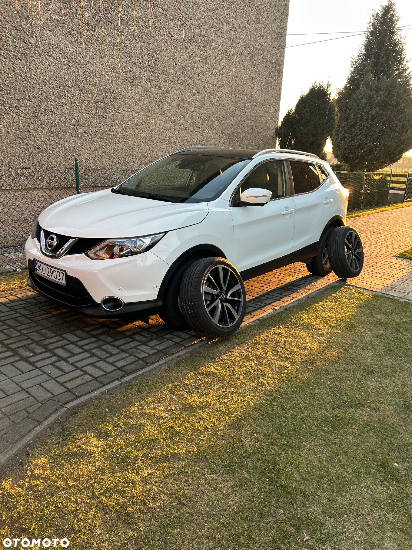 Nissan Qashqai 1.6 DCi 4x4 Tekna - 2