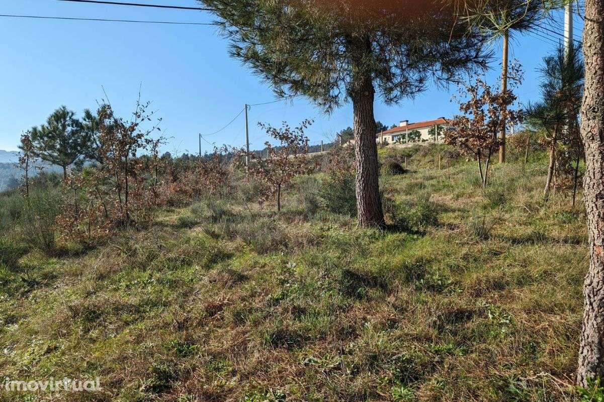 Terreno  para venda - Grande imagem: 4/13