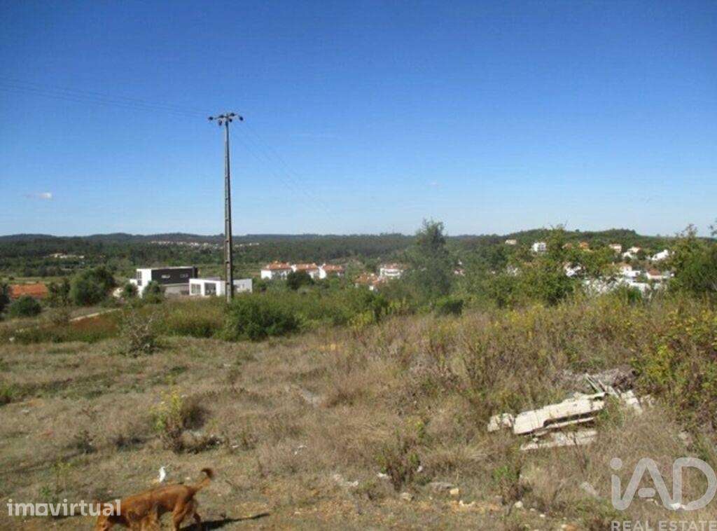 Terreno em Soure de 2954,00 m2 - Grande imagem: 3/9