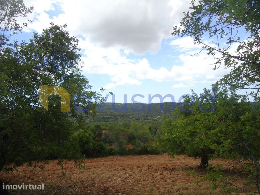 Terreno rústico em Paderne com vista Mar - Grande imagem: 4/15