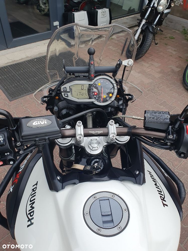 Triumph Tiger - 13