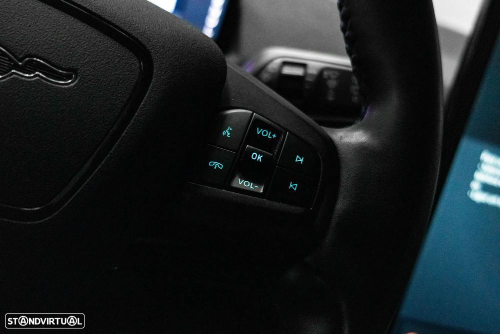 Ford Mustang Mach-E Standard - 26