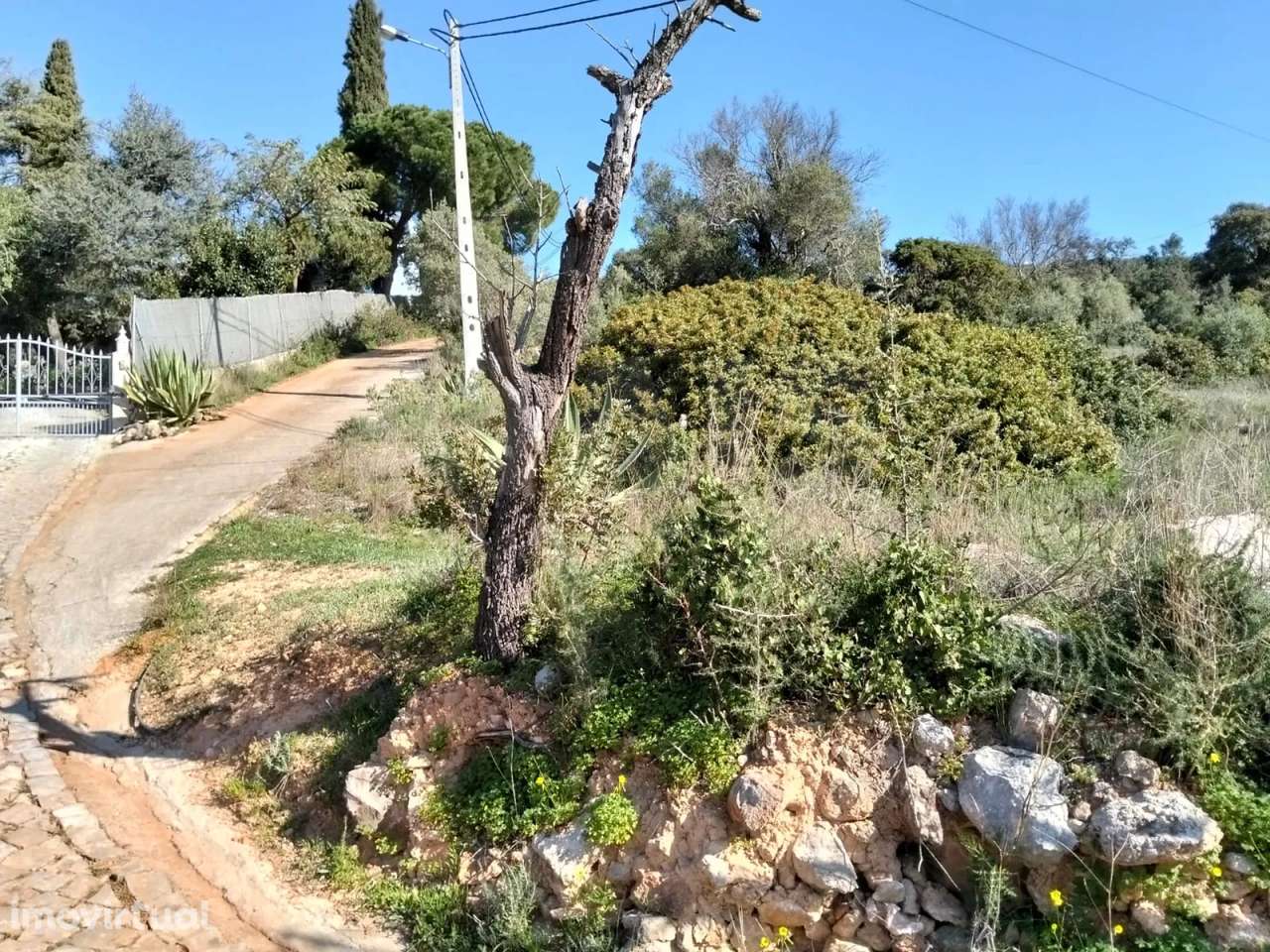 Lote de Terreno Rustico com vista mar - Grande imagem: 2/9