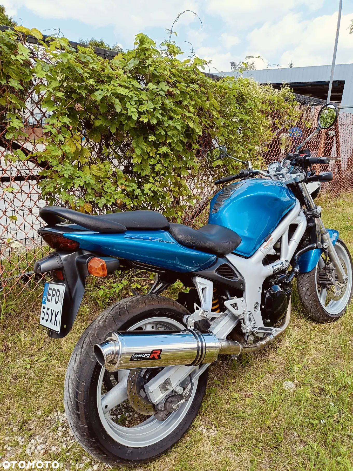 Suzuki SV - 6