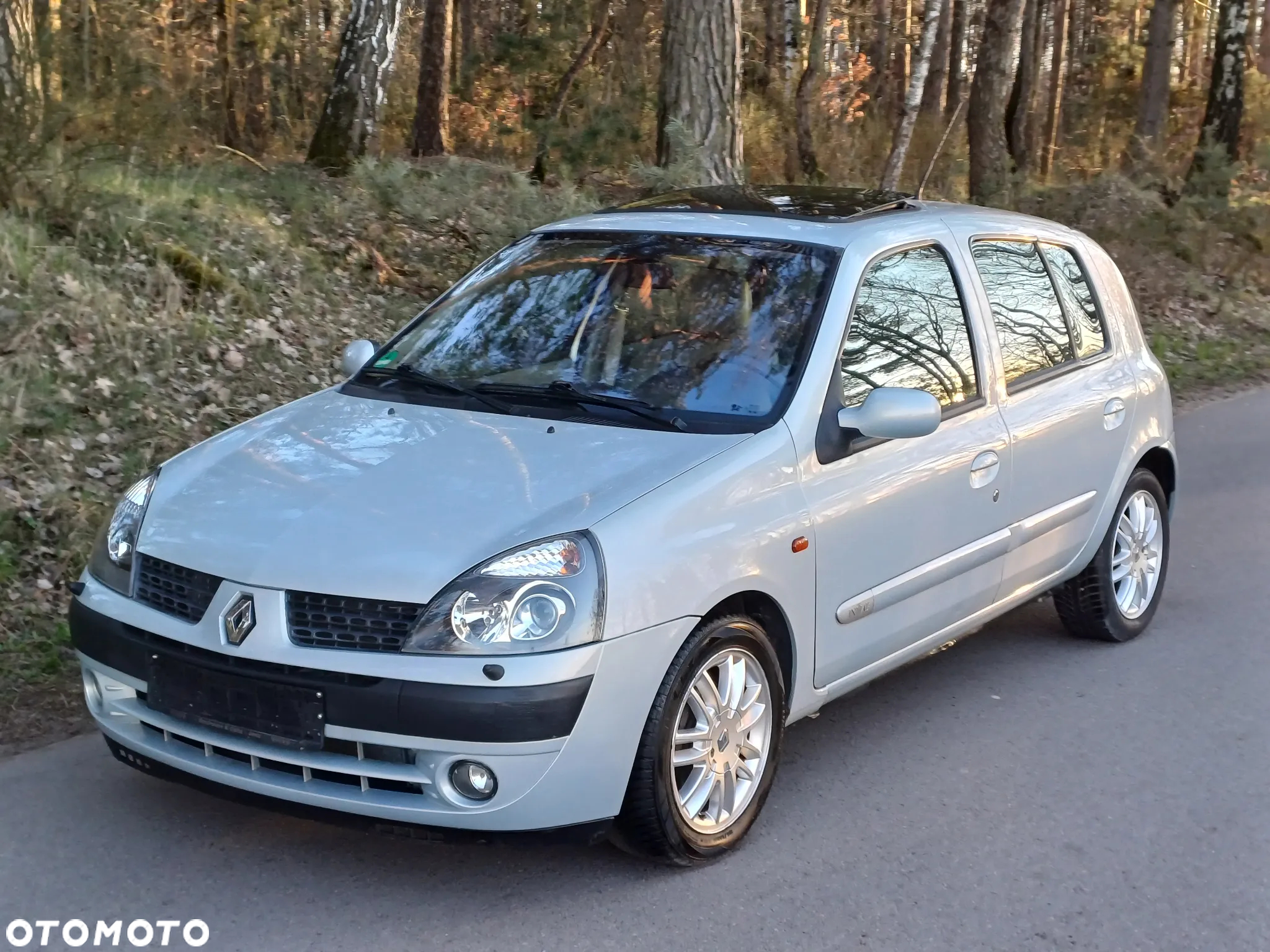 Renault Clio - 7