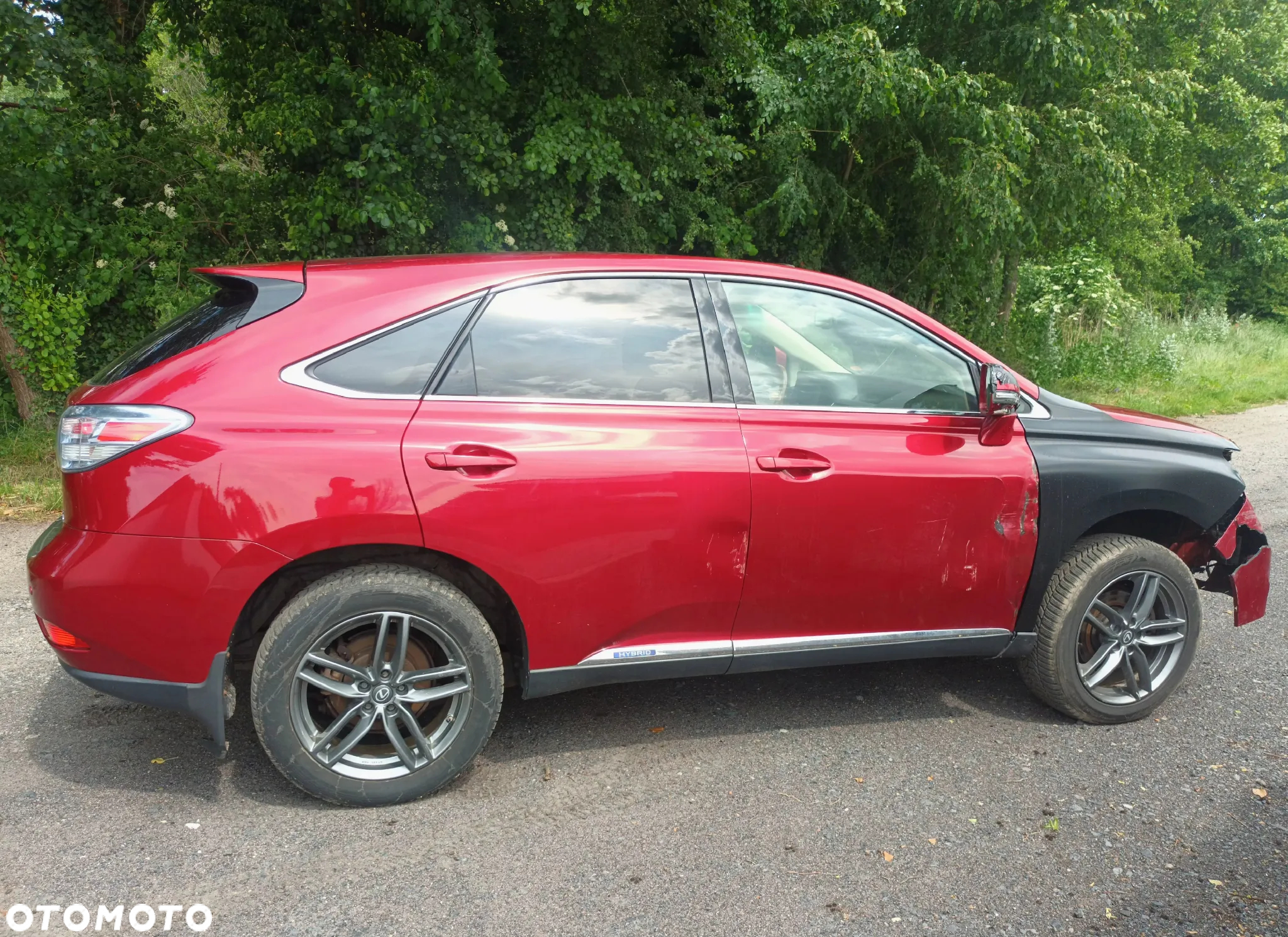 Lexus RX 450h (hybrid) Executive Line - 14