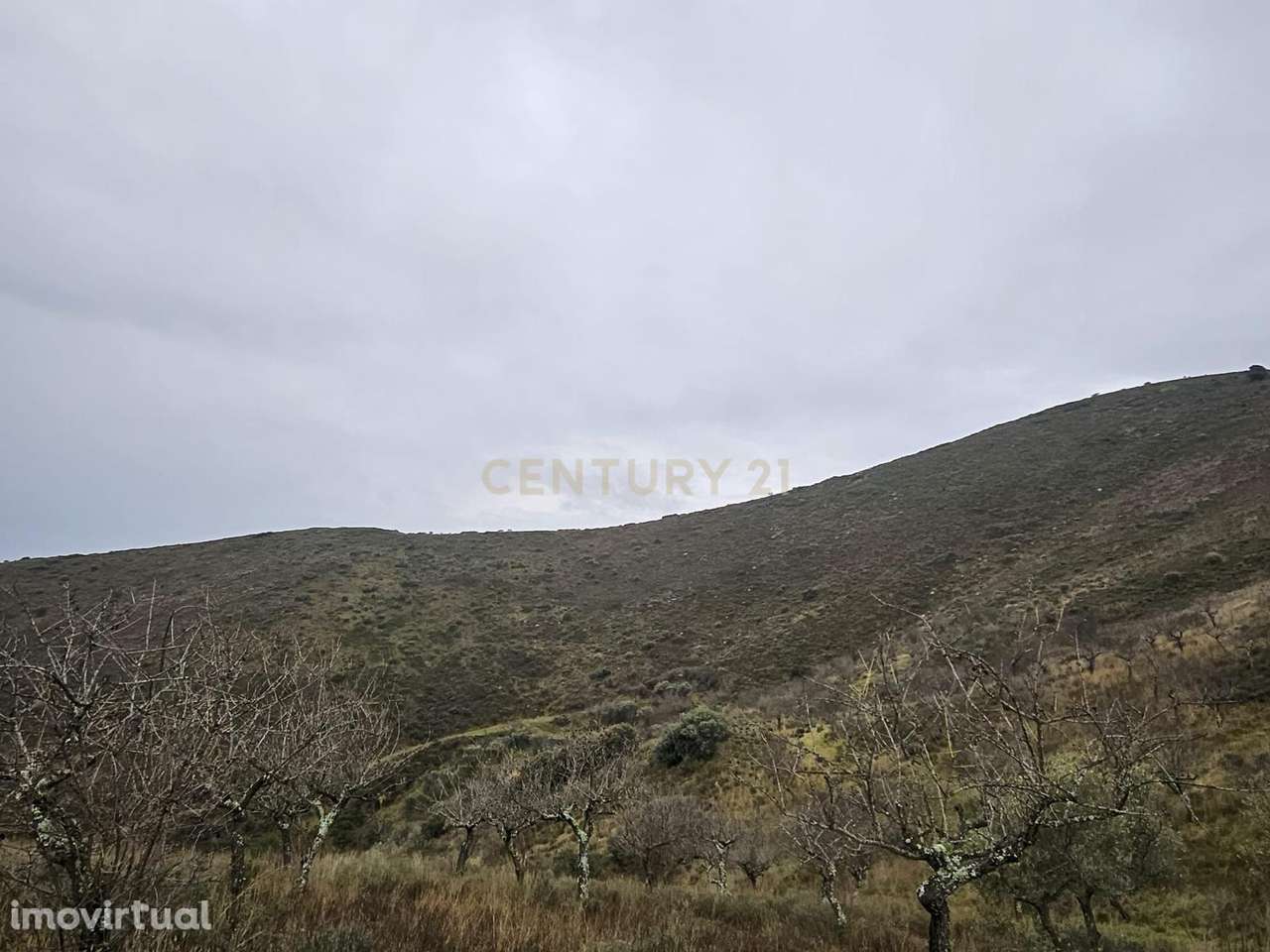 Terreno Rústico em Vila Nova de Foz Côa - Grande imagem: 2/4
