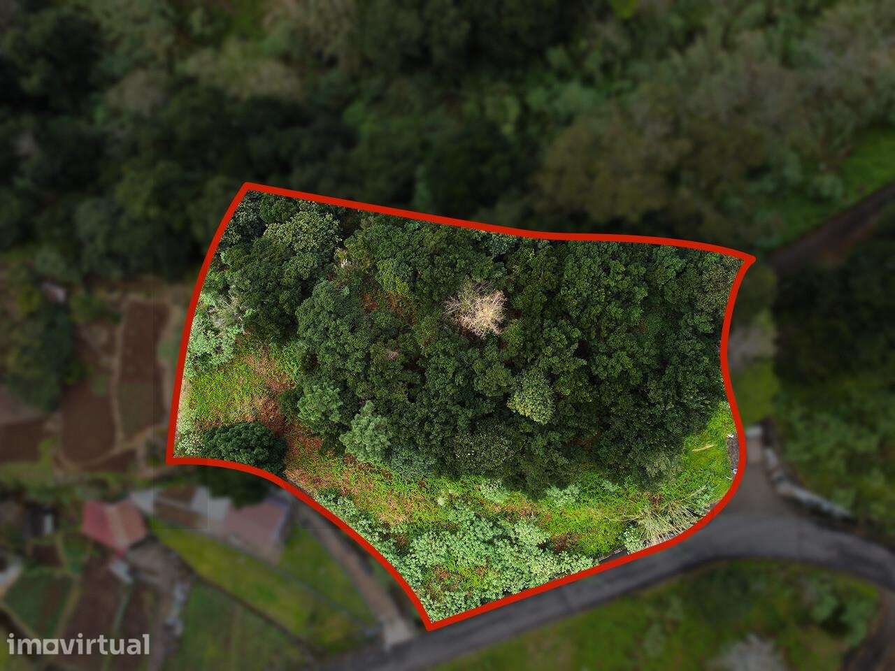 Terreno rústico com uma área de 2.302 m2 - Grande imagem: 4/15
