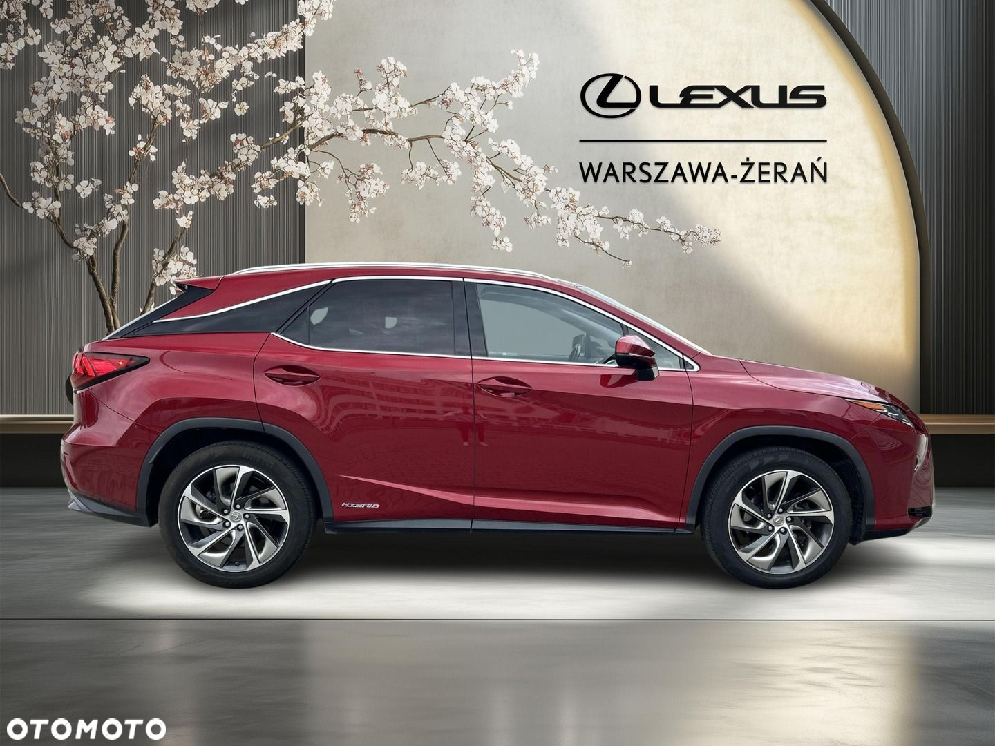 Lexus RX - 8