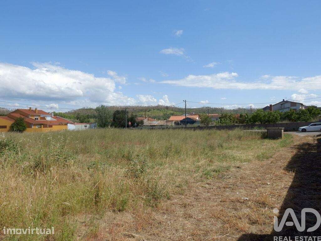 Terreno em Souto da Carpalhosa e Ortigosa - Grande imagem: 4/17