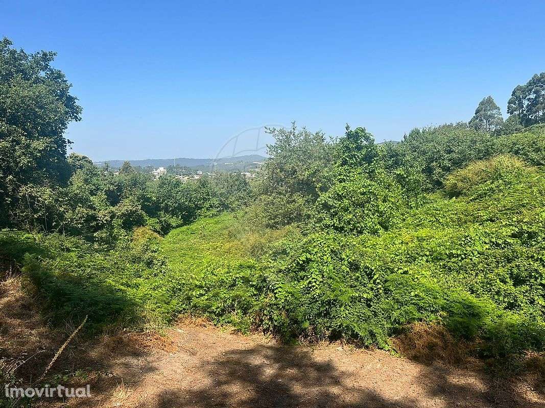 Terreno  para arrendamento - Grande imagem: 2/6