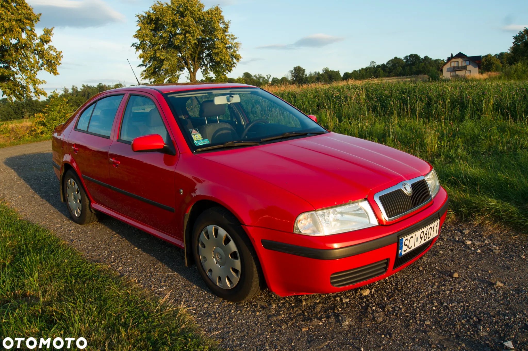 Skoda Octavia 1.6 Tour - 1