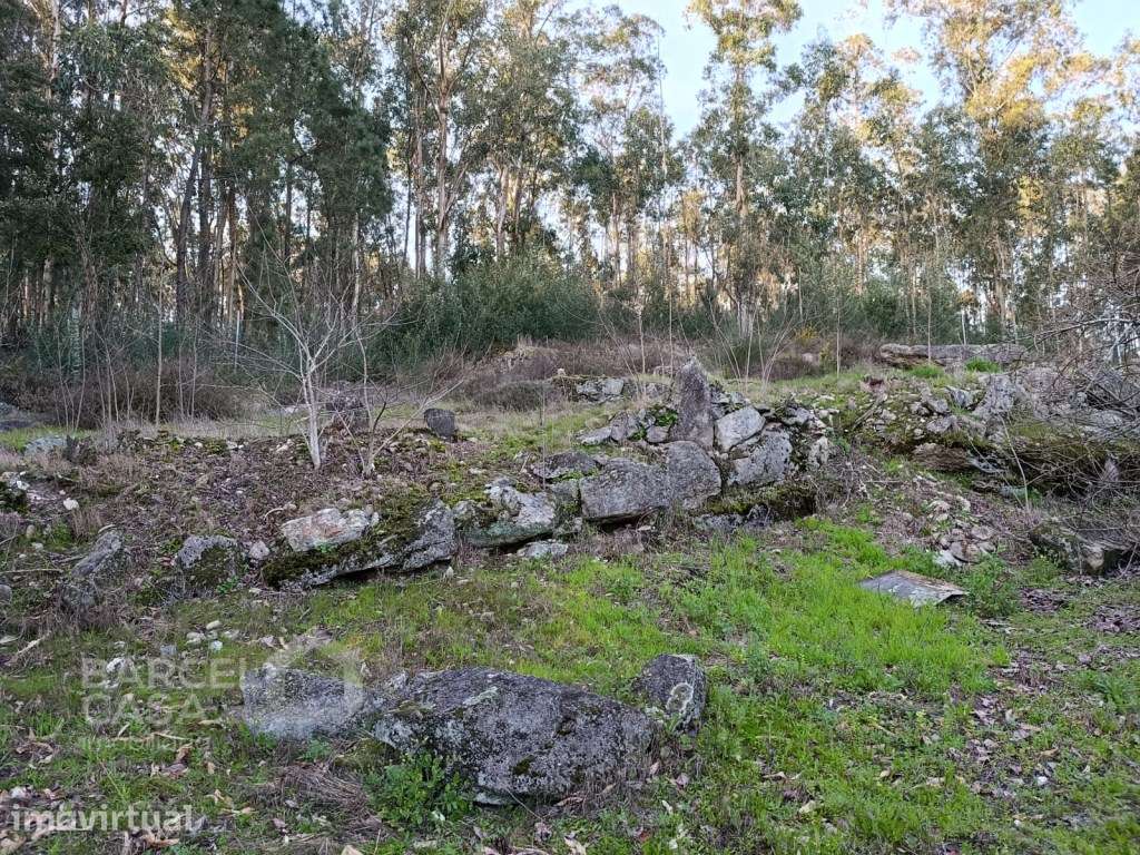 Casa de 48m2 para recuperar, com terreno de construção em Alheira -... - Grande imagem: 5/7