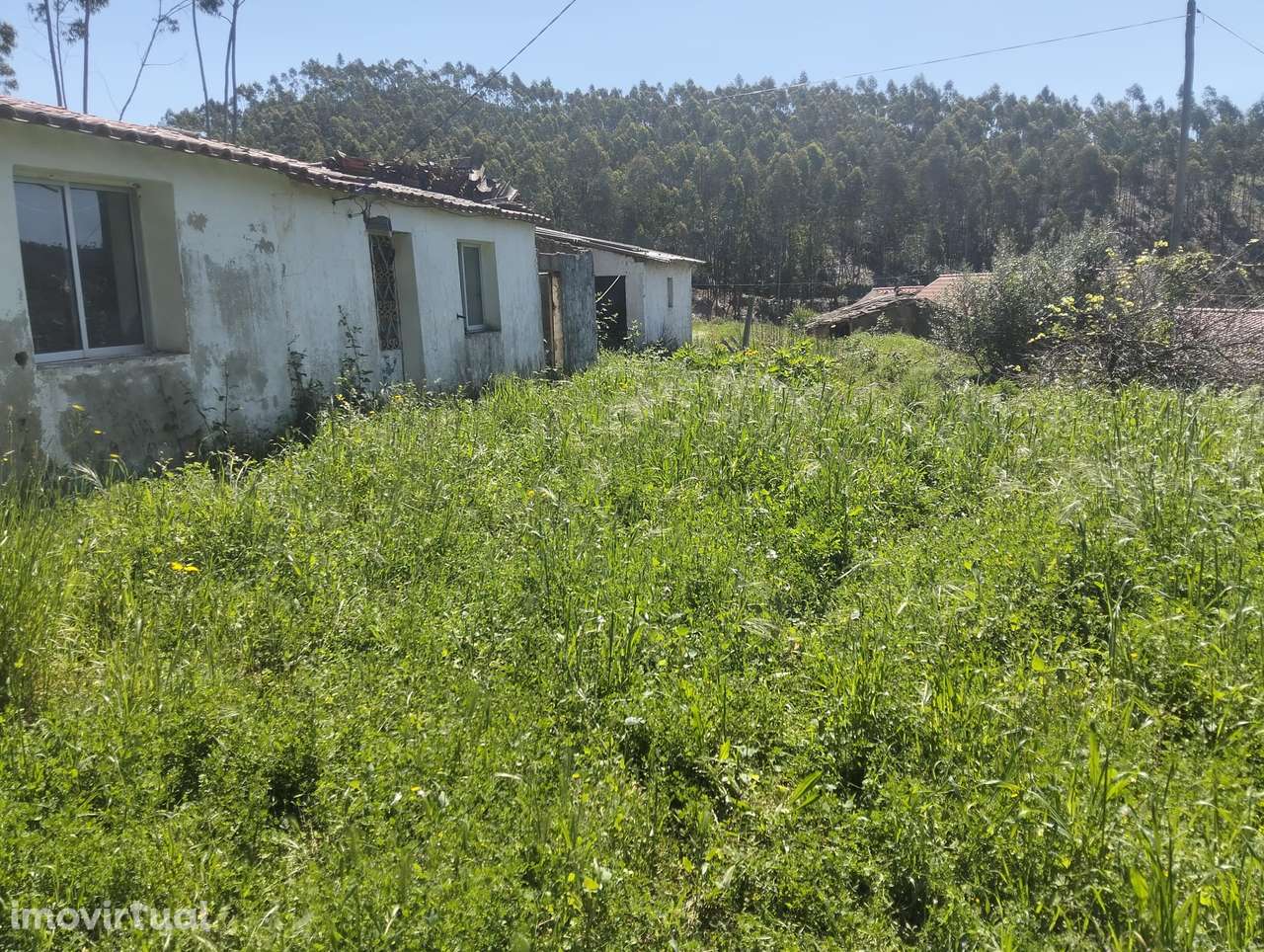 Moradia T4 para remodelação completa, Corte Cibrão de Baixo -Marmelete - Grande imagem: 4/8