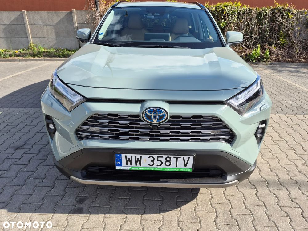 Toyota RAV4 2.5 Hybrid Executive 4x2 - 8