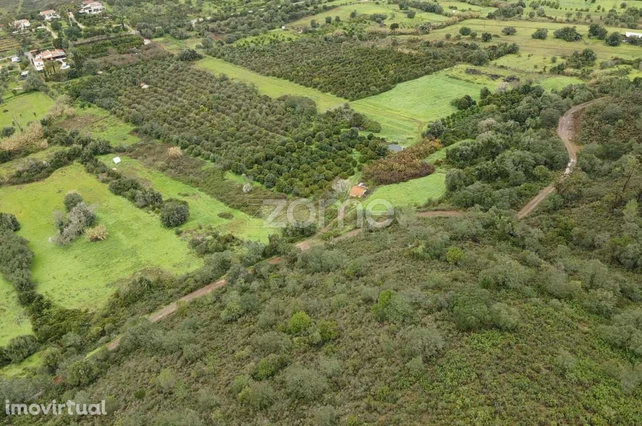 Dois Terrenos Rústicos c/ 4.680m2 em Ladeira da Cumeada - Grande imagem: 2/17