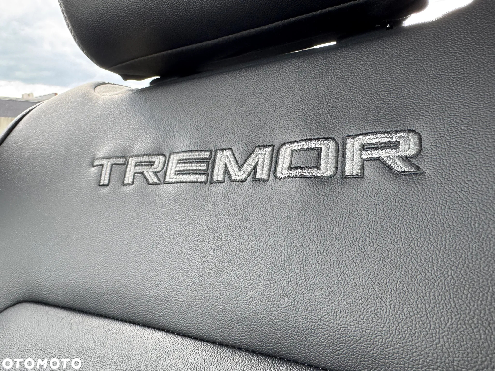 Ford Ranger 2.0 EcoBlue Bi-Turbo 4x4 DC Tremor - 21