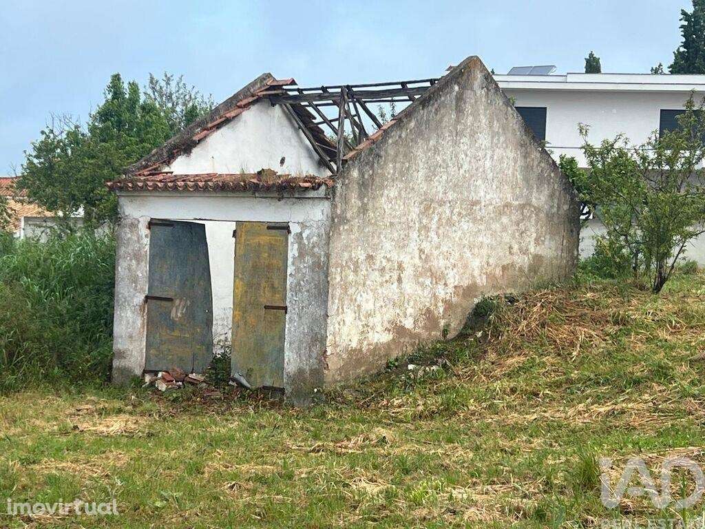 Terreno misto em Lamas e Cercal - Grande imagem: 5/19