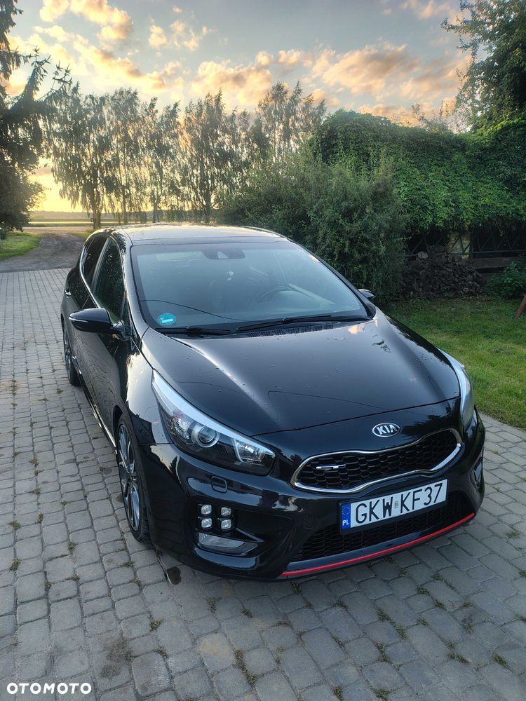 Kia Ceed - 1