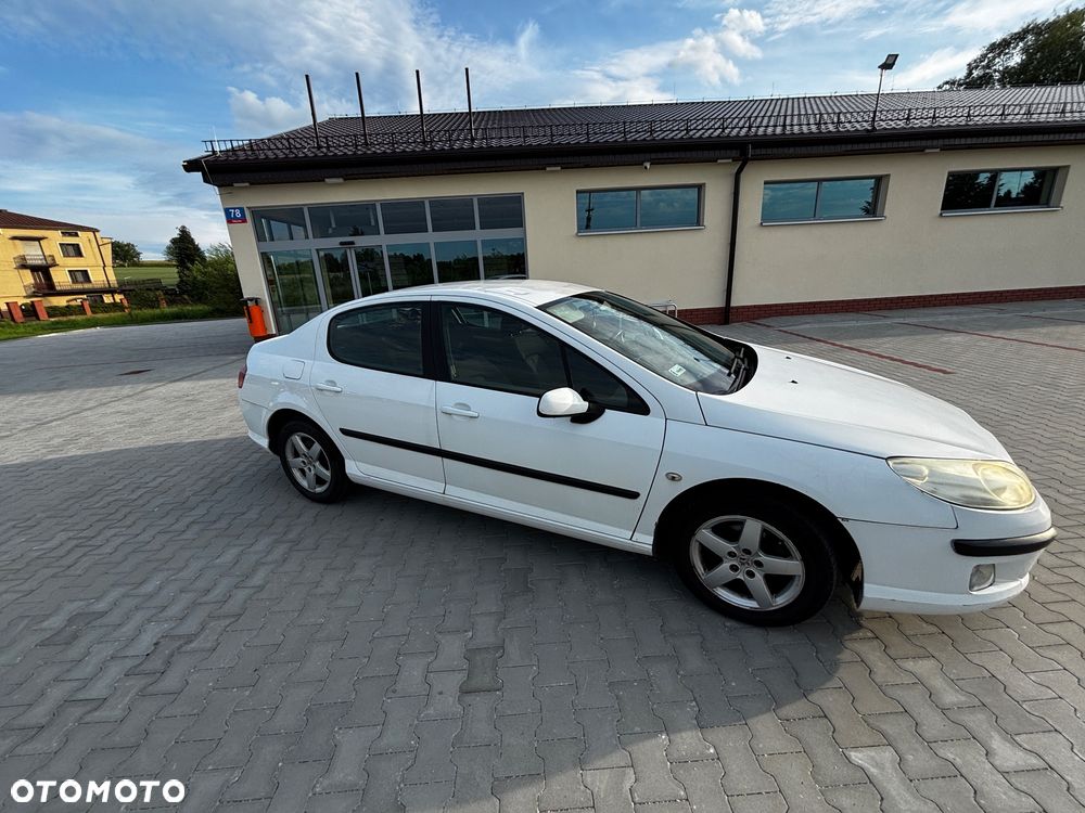 Peugeot 407 - 3