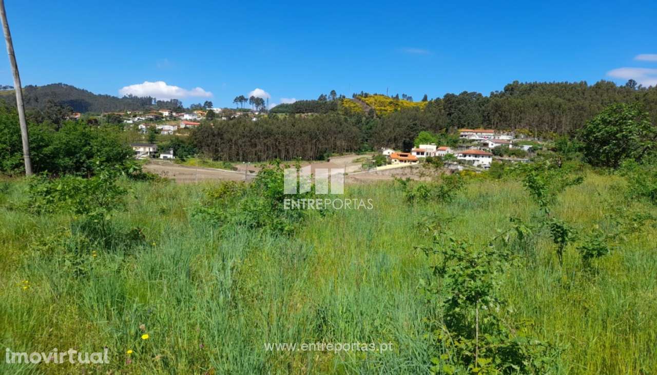Venda Terreno, Fregim, Amarante - Grande imagem: 5/38