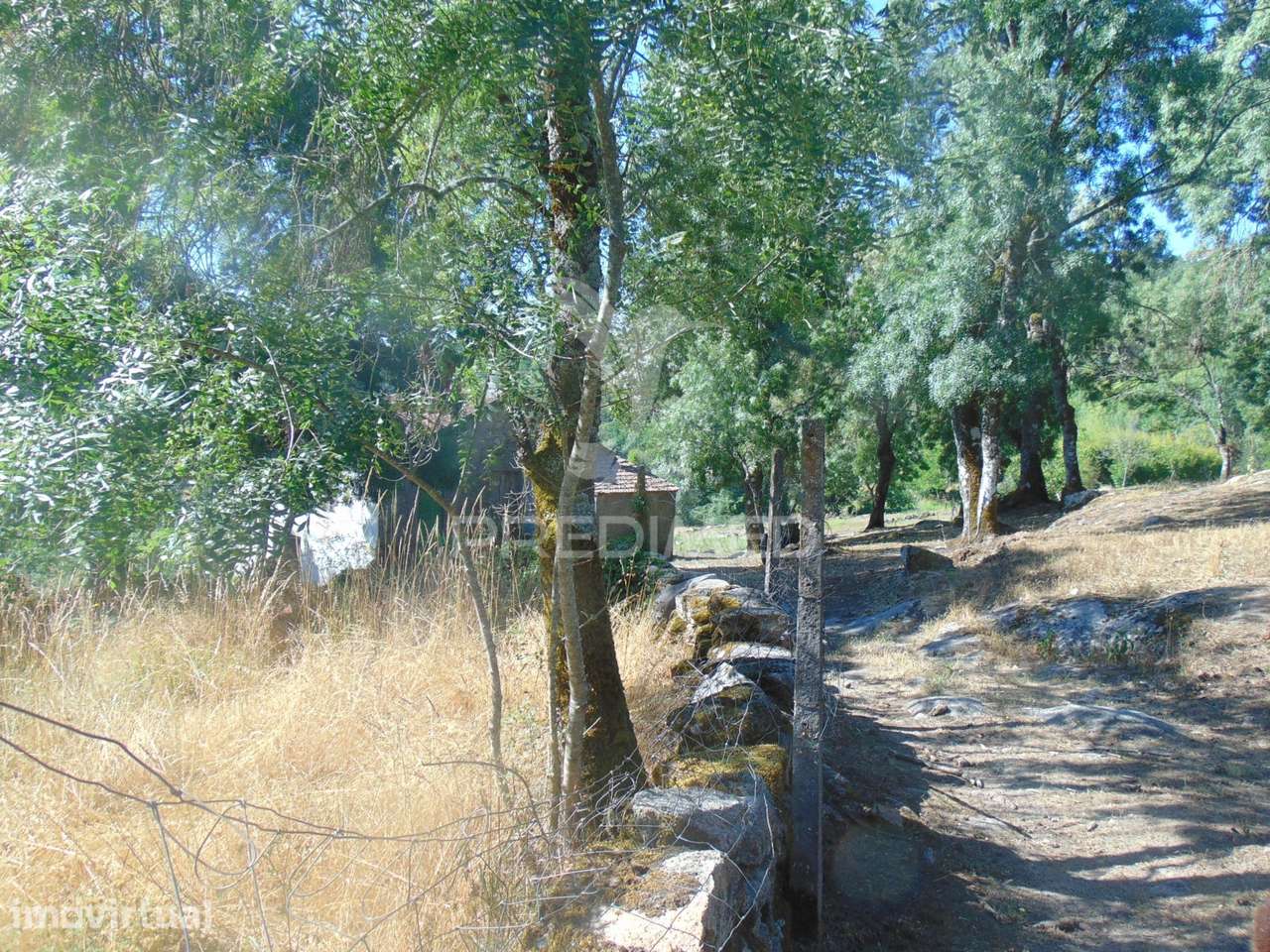 Quintinha p/ recuperar em Torgueda - Vila Real - Grande imagem: 2/36