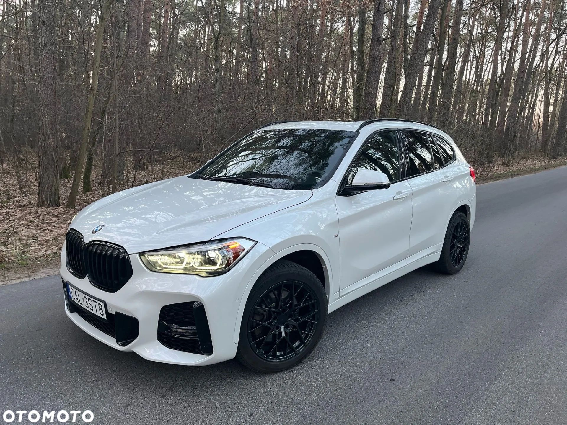 BMW X1 xDrive25i M Sport - 1