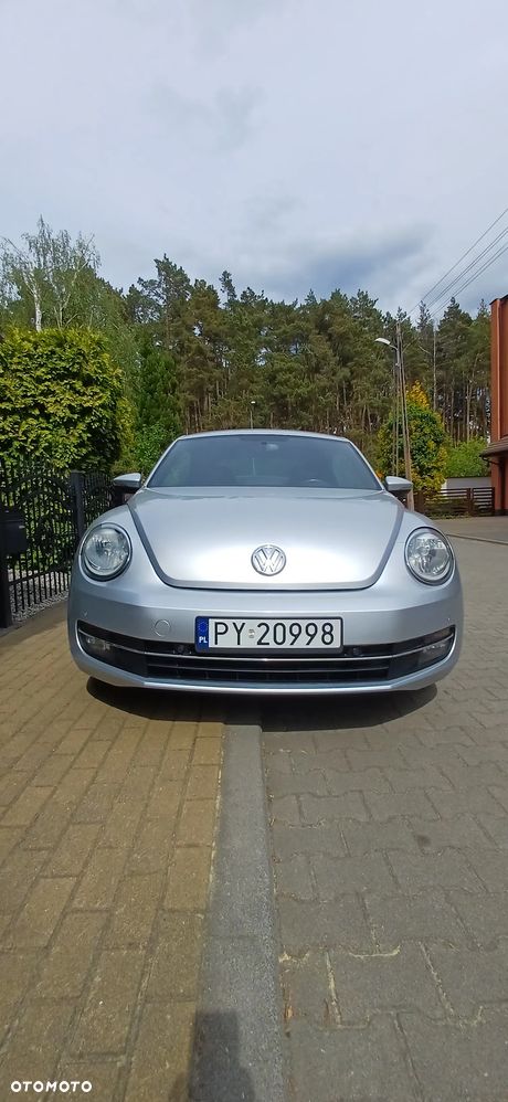 Volkswagen Beetle - 15