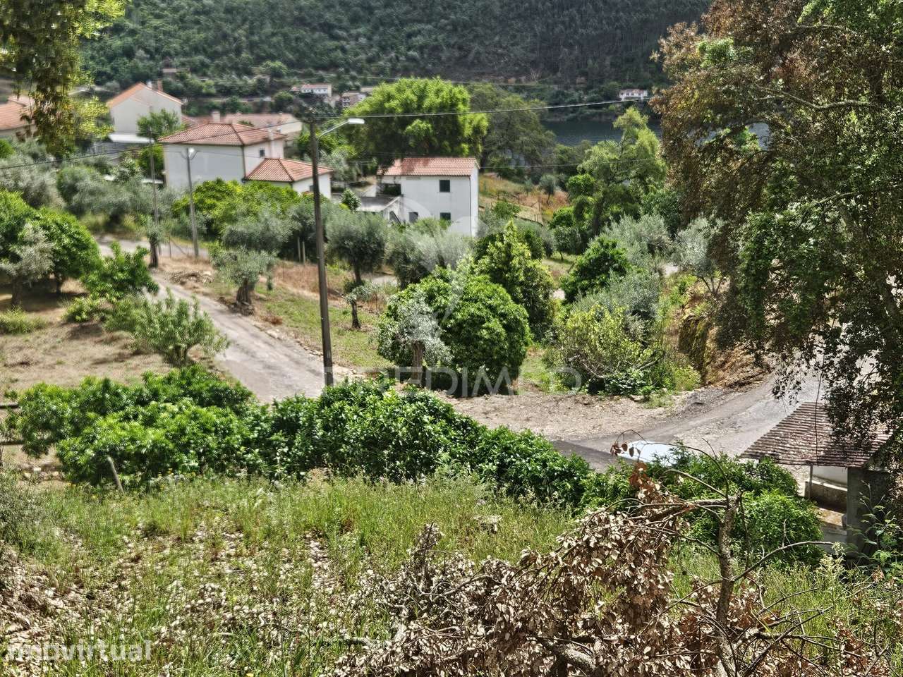 Terreno vista rio Zêzere - Grande imagem: 4/11
