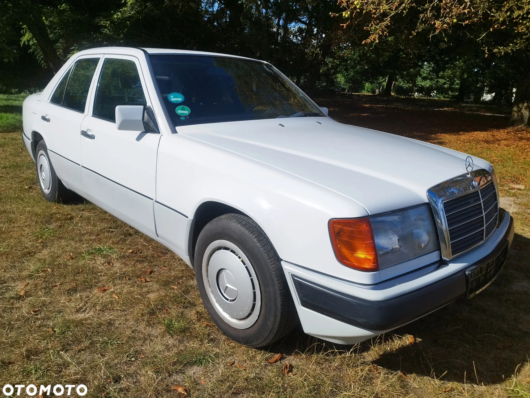 Mercedes-Benz W124 (1984-1993) - 13