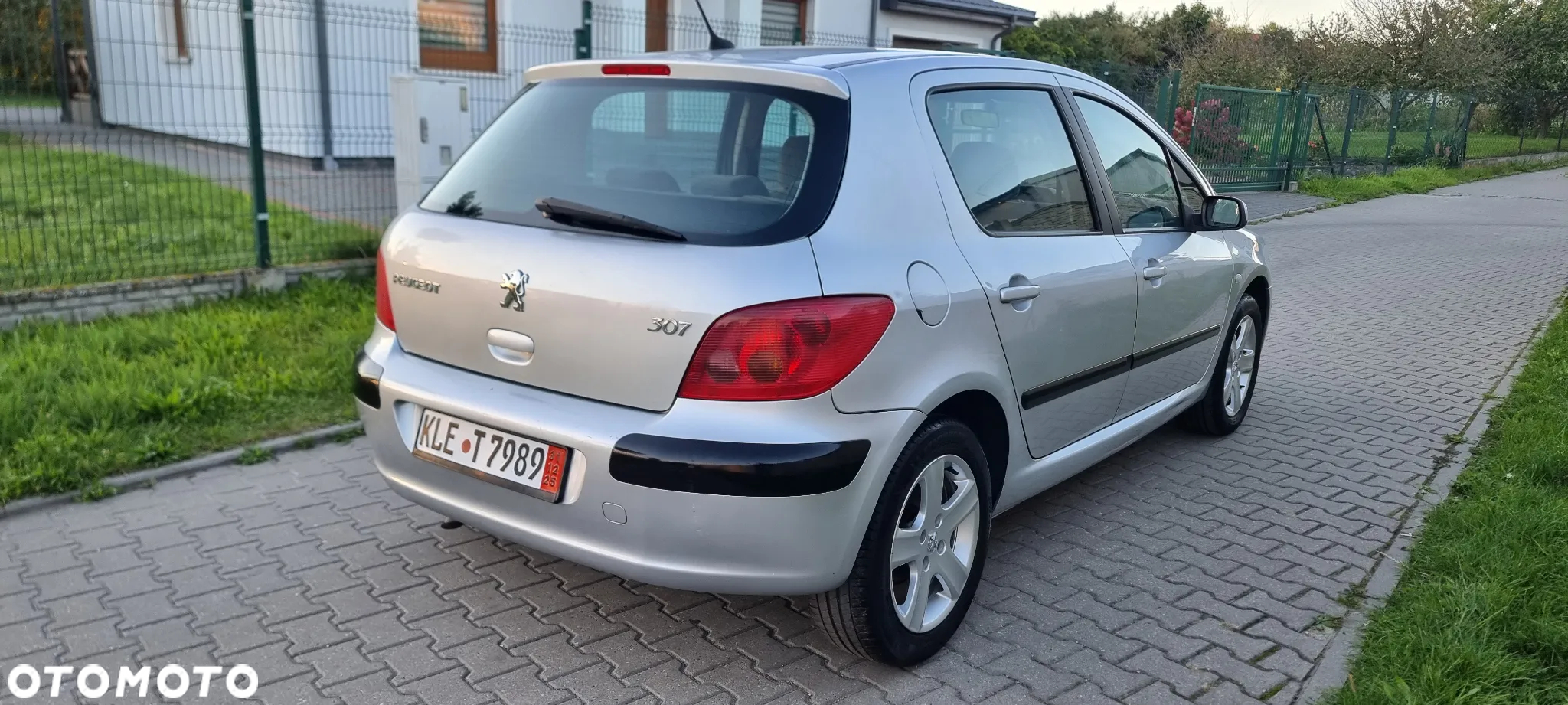 Peugeot 307 - 10